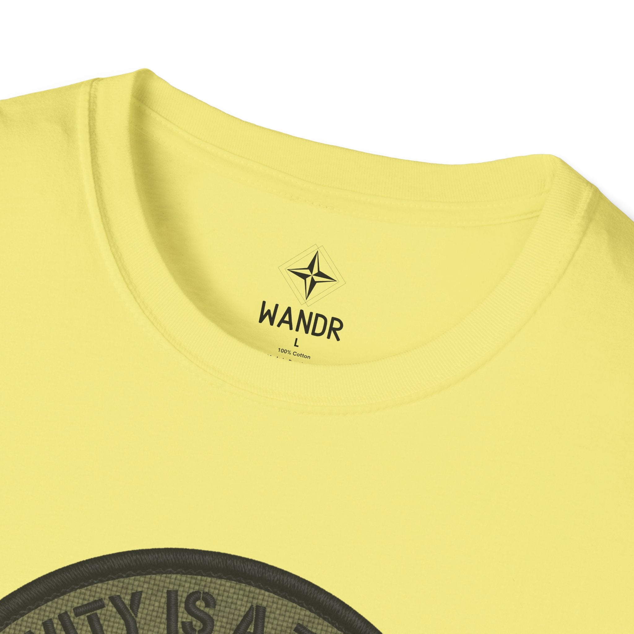 Gravity is a teacher T-Shirt