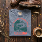 Roseate Spoonbill - Everglades National Park T-Shirt