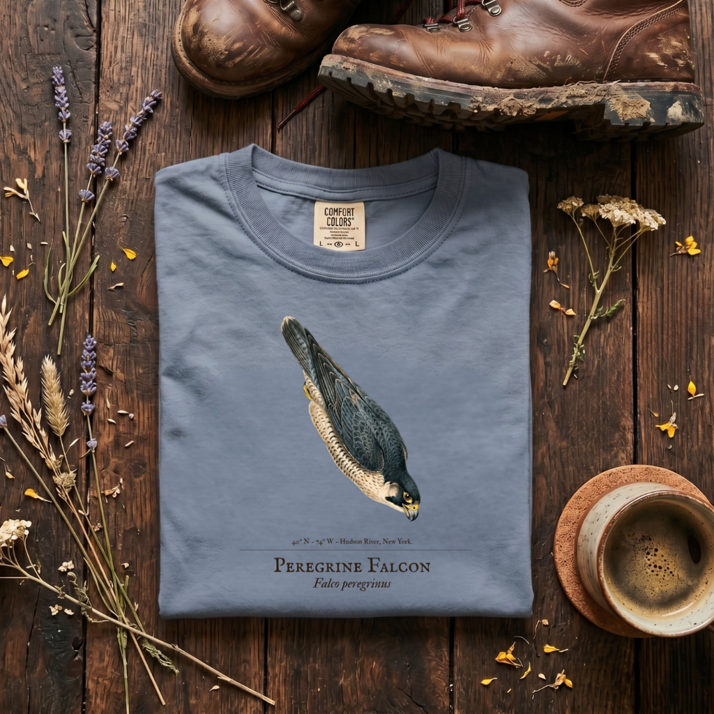 Peregrine Falcon - The Stoop T-Shirt