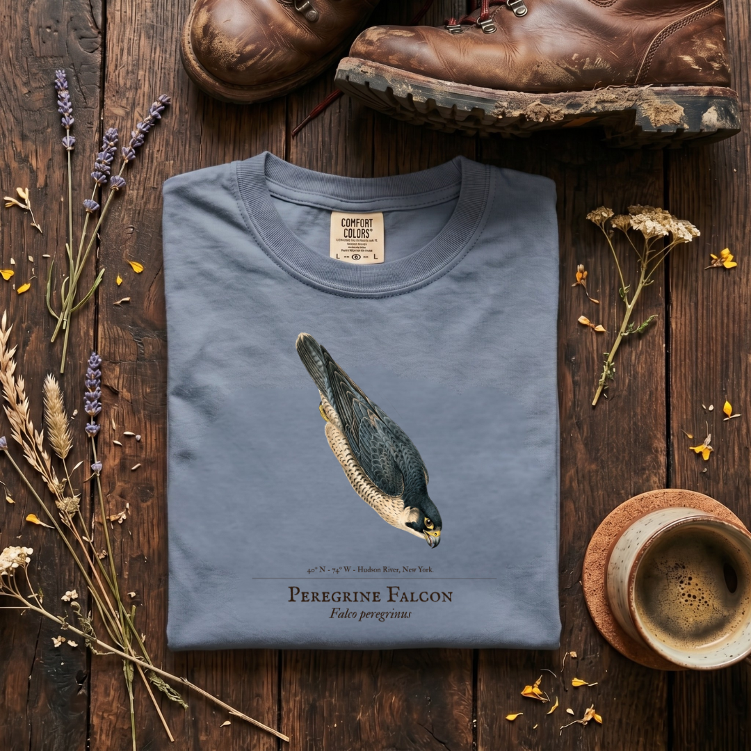 Peregrine Falcon - The Stoop T-Shirt