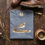 Piping Plover - Charadrius melodus T-Shirt