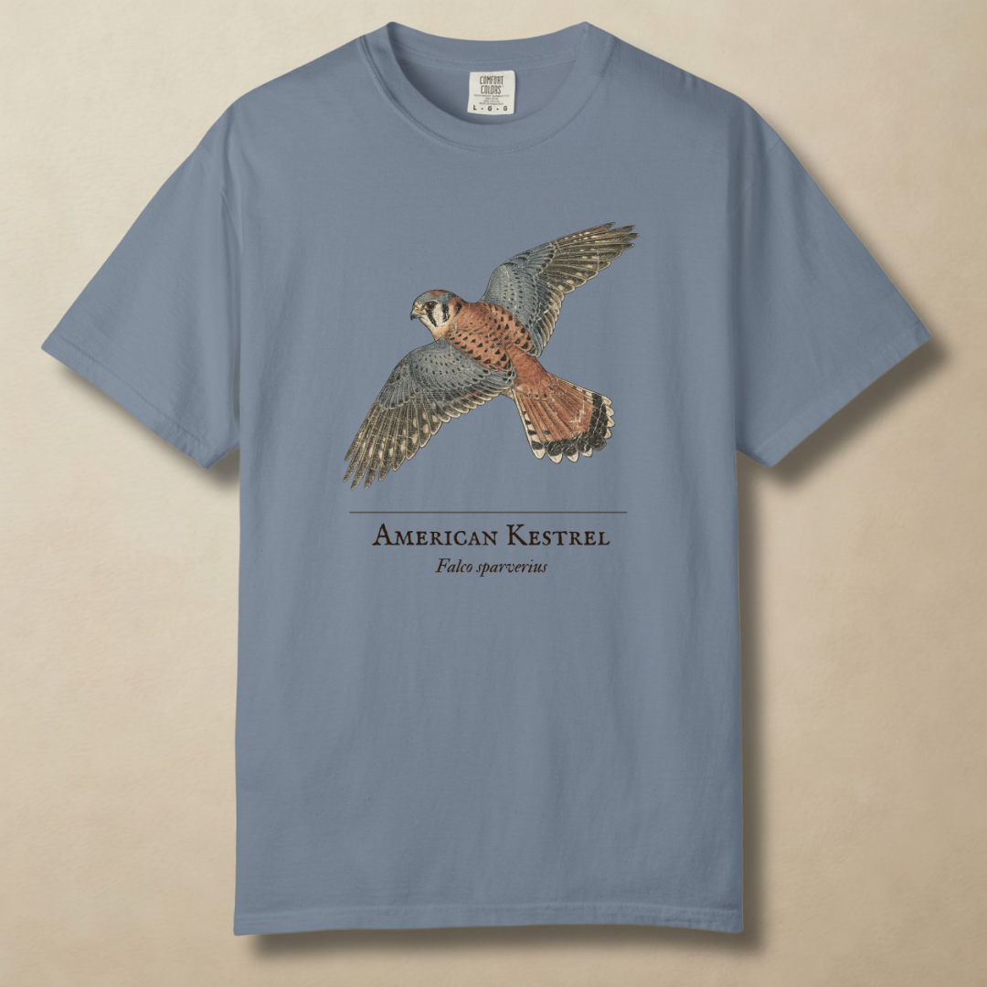 American Kestrel - The Hovering Jewel T-Shirt