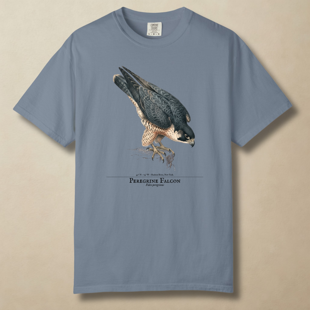 Peregrine Falcon - 240 MPH and Counting T-Shirt