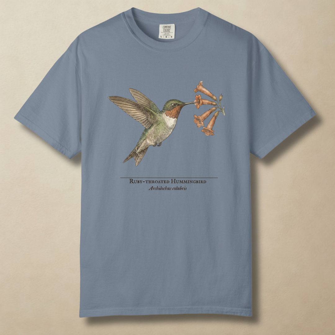 Ruby-throated Hummingbird T-Shirt