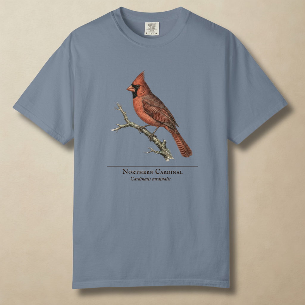 Northern Cardinal - The Backyard Sentinel T-Shirt