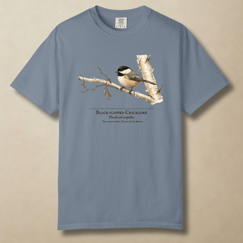 Black-capped Chickadee - Small Bird, Big Winter T-Shirt