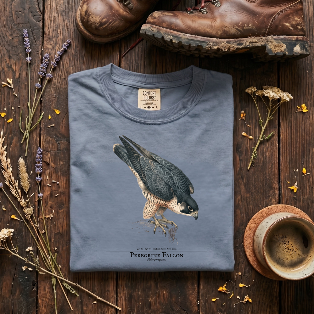 Peregrine Falcon - 240 MPH and Counting T-Shirt