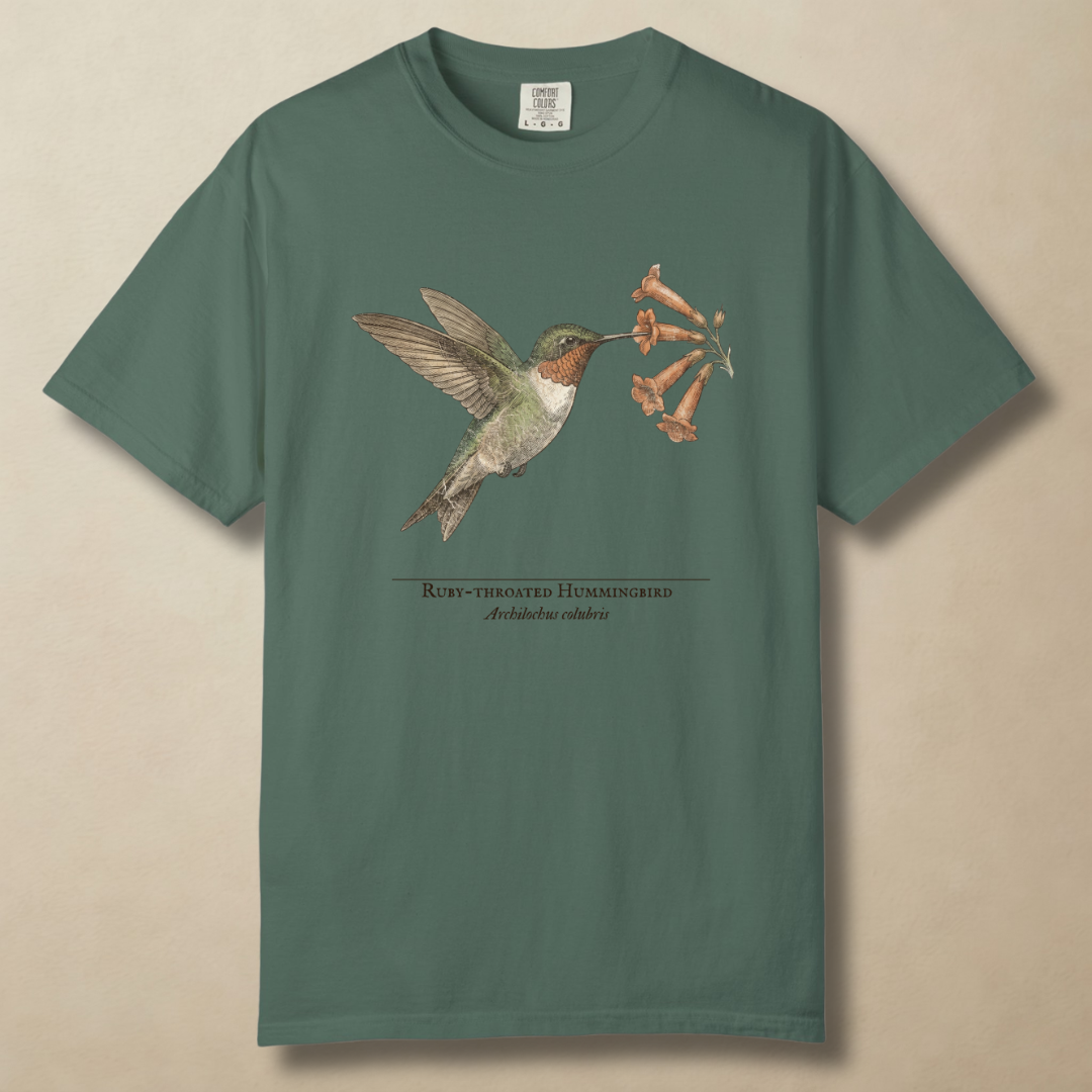 Ruby-throated Hummingbird T-Shirt