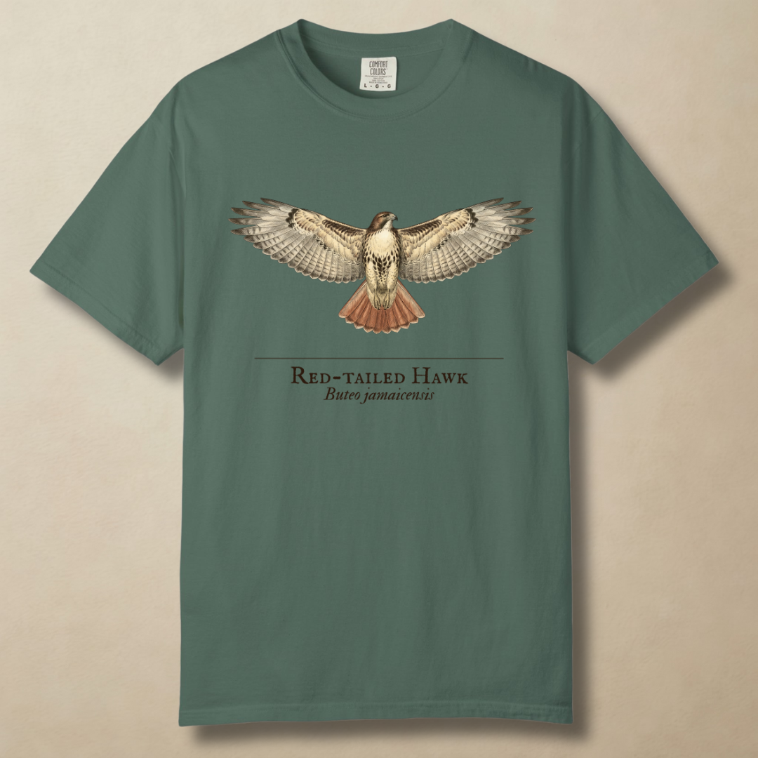 Red-tailed Hawk - Ruler of the Open Sky T-Shirt