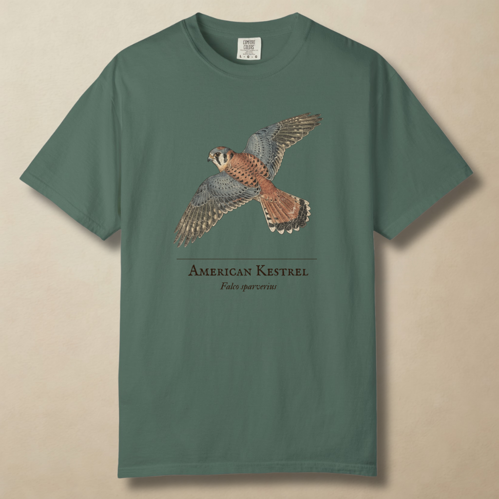 American Kestrel - The Hovering Jewel T-Shirt