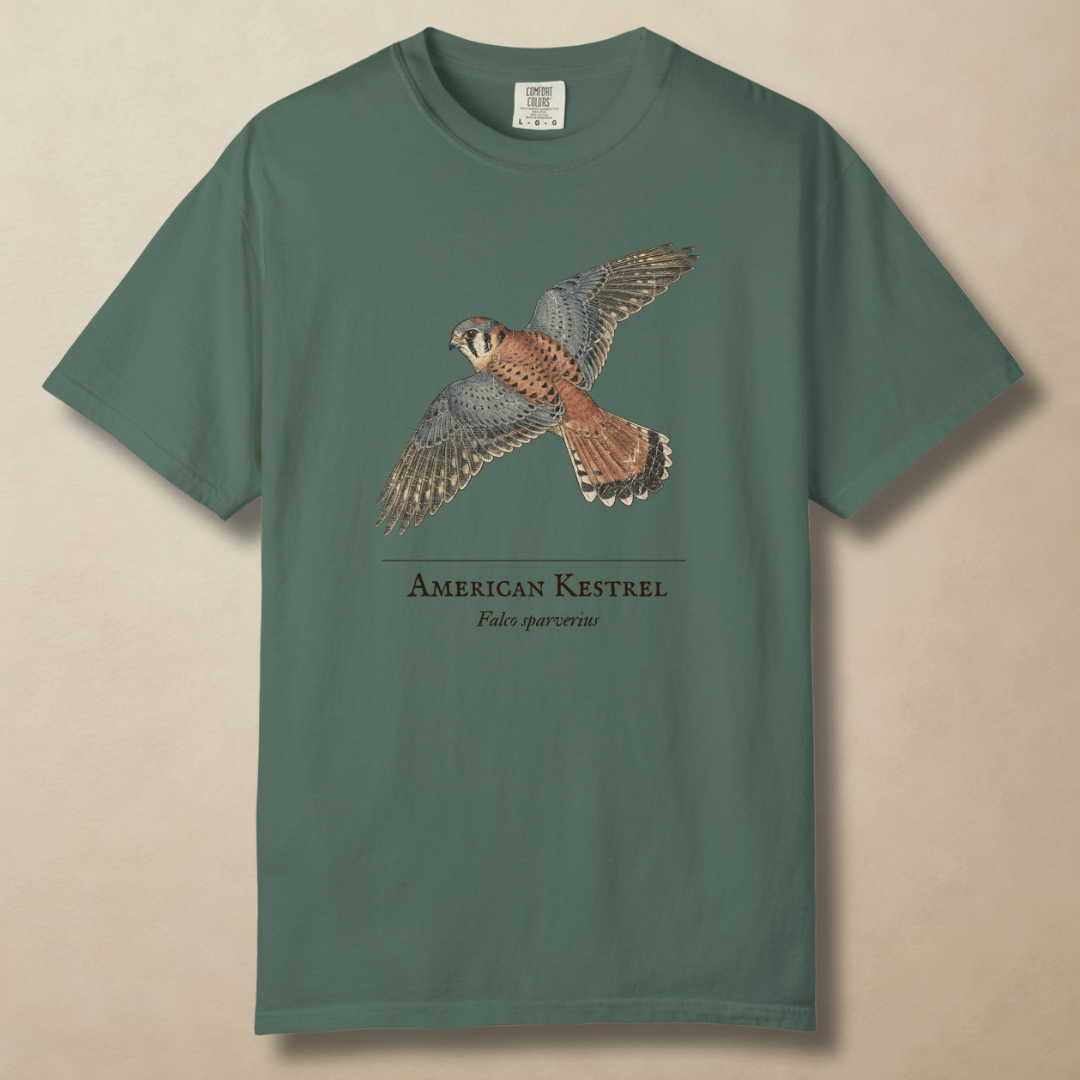 American Kestrel - The Hovering Jewel T-Shirt