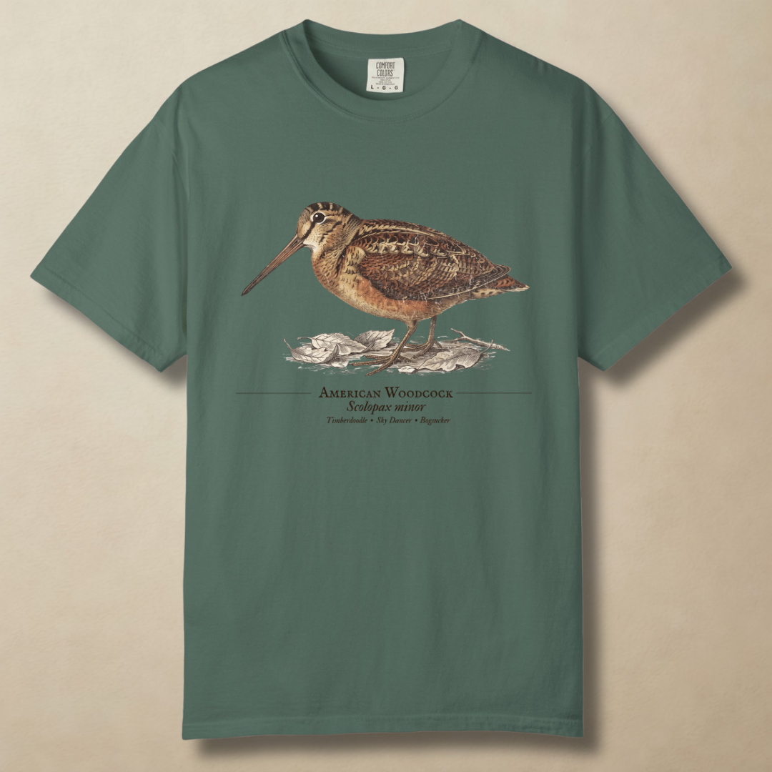 American Woodcock - The Timberdoodle T-Shirt