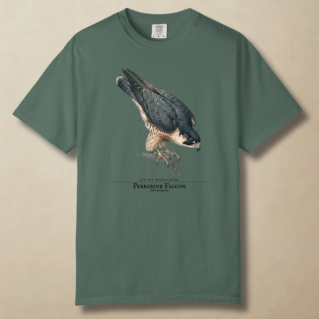 Peregrine Falcon - 240 MPH and Counting T-Shirt