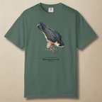 Peregrine Falcon - 240 MPH and Counting T-Shirt