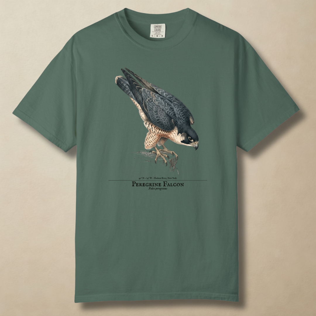 Peregrine Falcon - 240 MPH and Counting T-Shirt