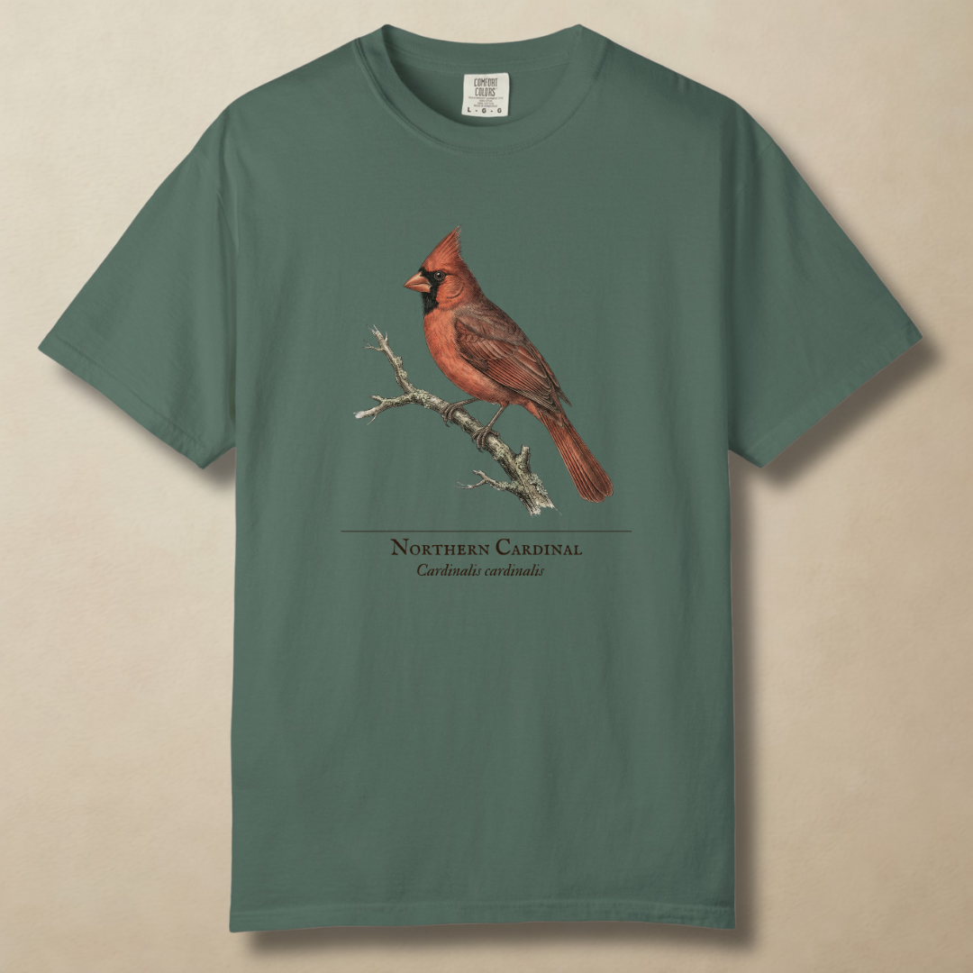 Northern Cardinal - The Backyard Sentinel T-Shirt