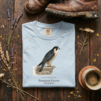 Peregrine Falcon - City Ledge T-Shirt
