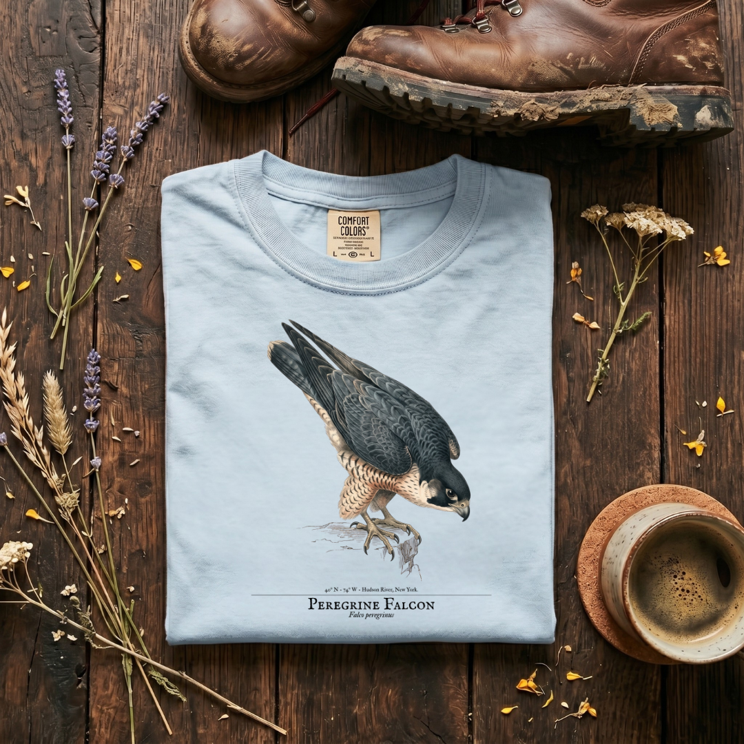 Peregrine Falcon - 240 MPH and Counting T-Shirt