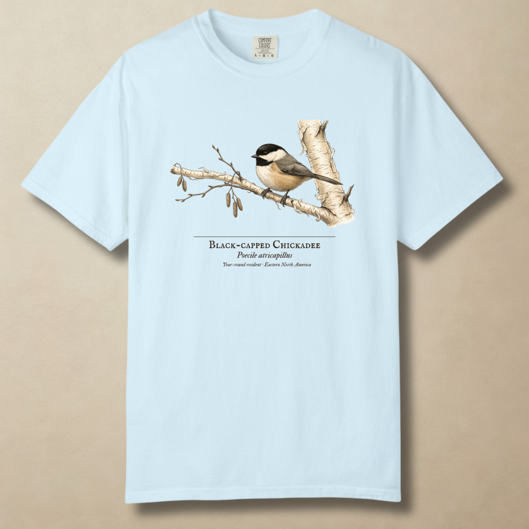 Black-capped Chickadee - Small Bird, Big Winter T-Shirt