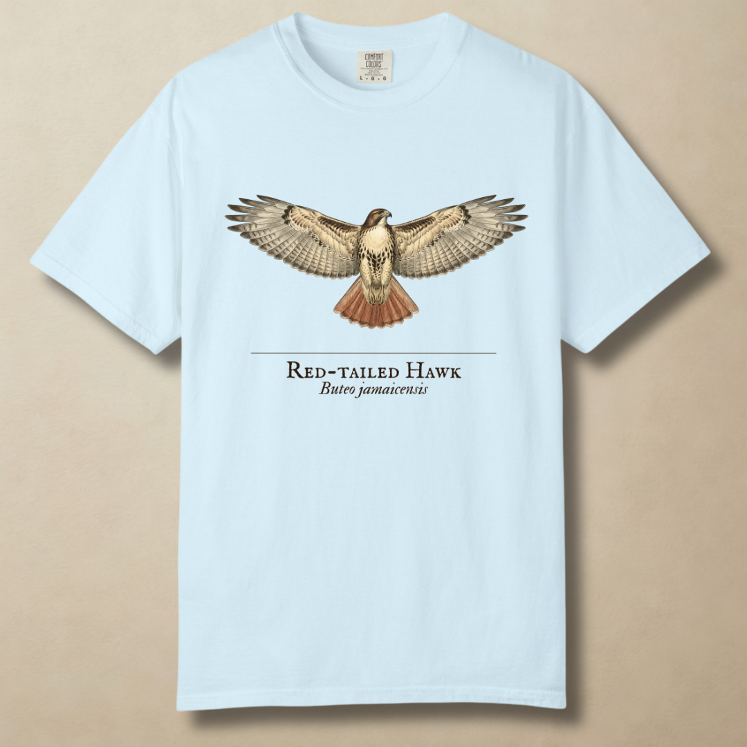 Red-tailed Hawk - Ruler of the Open Sky T-Shirt