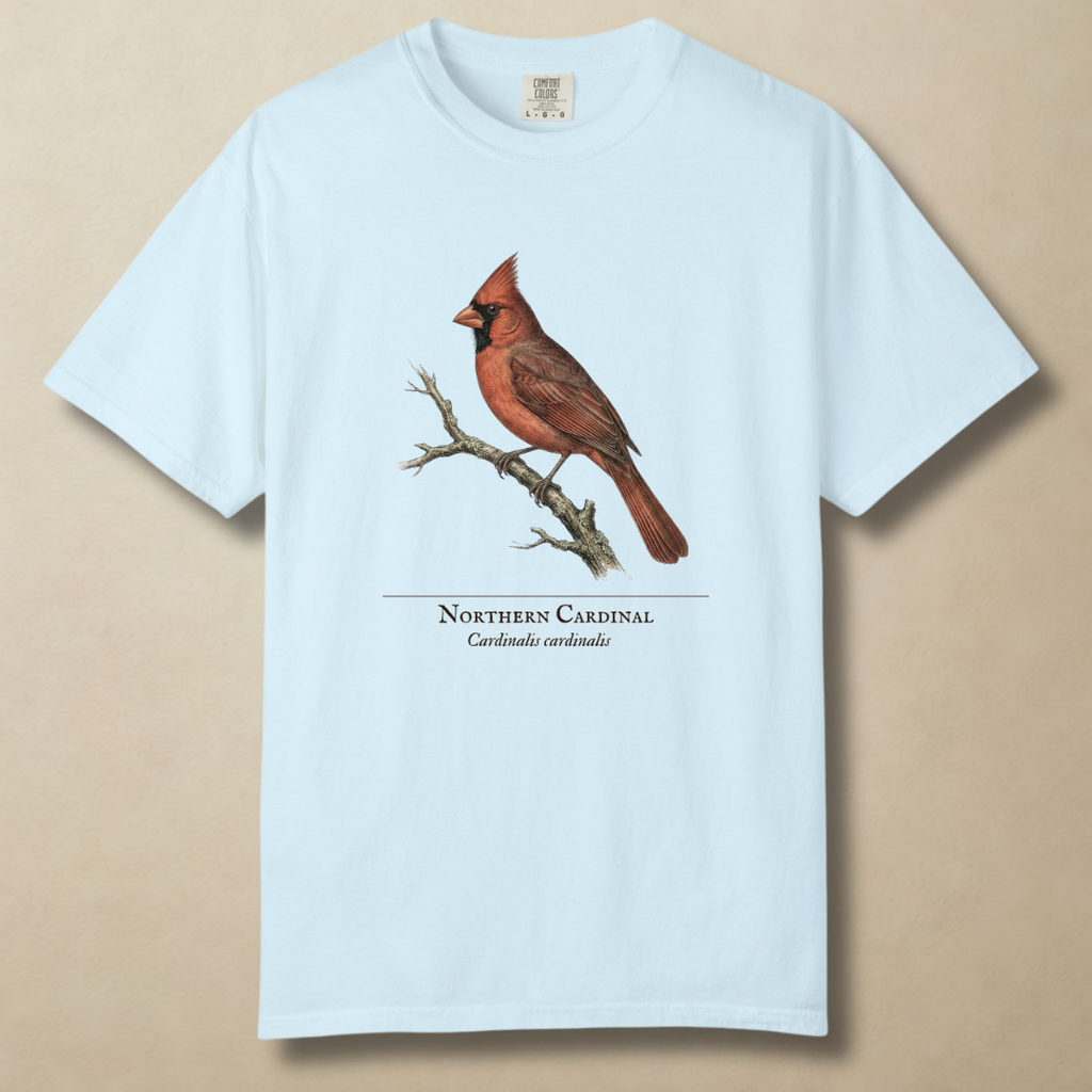 Northern Cardinal - The Backyard Sentinel T-Shirt