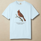 Northern Cardinal - The Backyard Sentinel T-Shirt