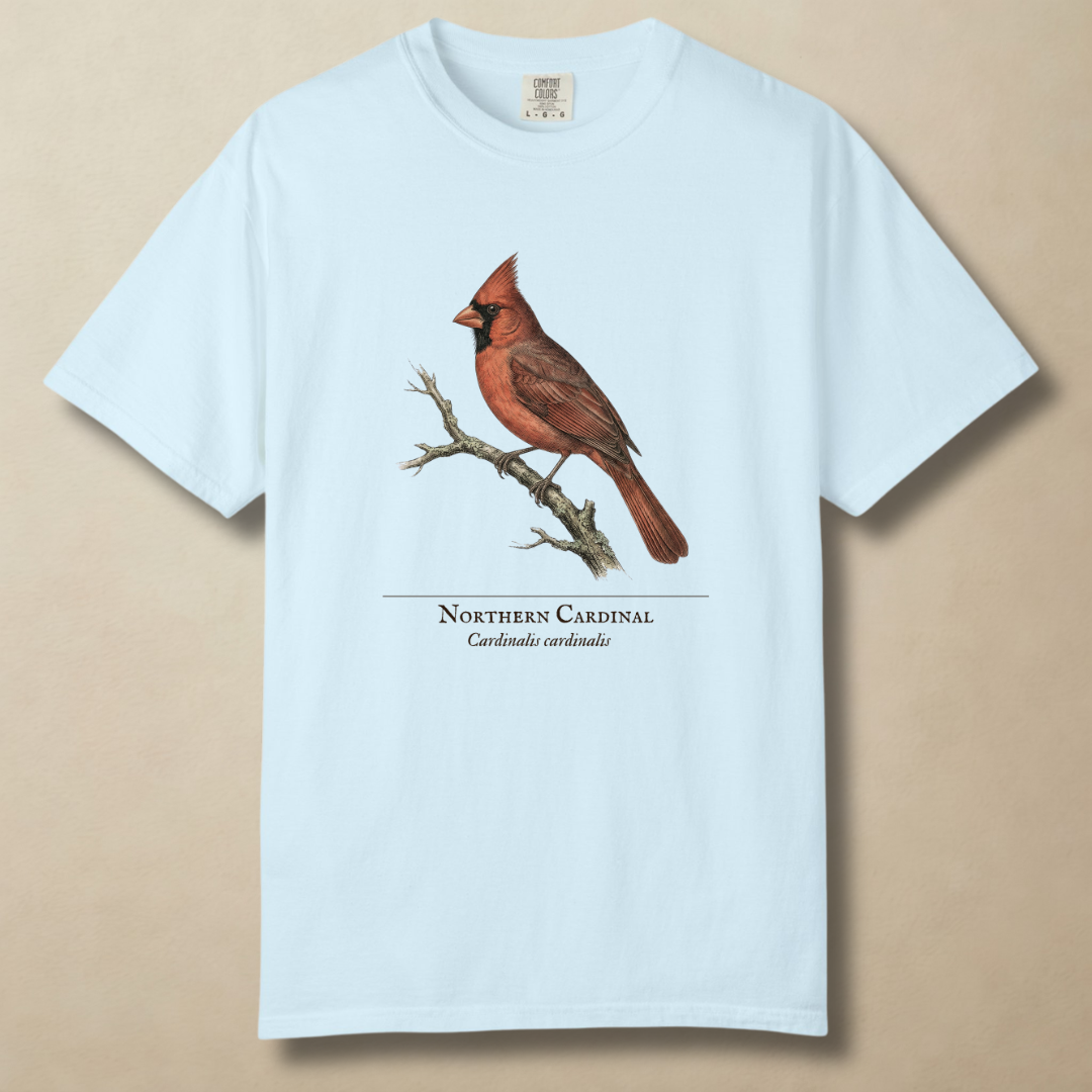 Northern Cardinal - The Backyard Sentinel T-Shirt