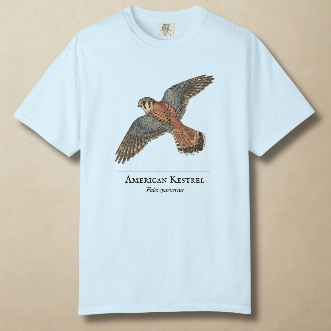 American Kestrel - The Hovering Jewel T-Shirt