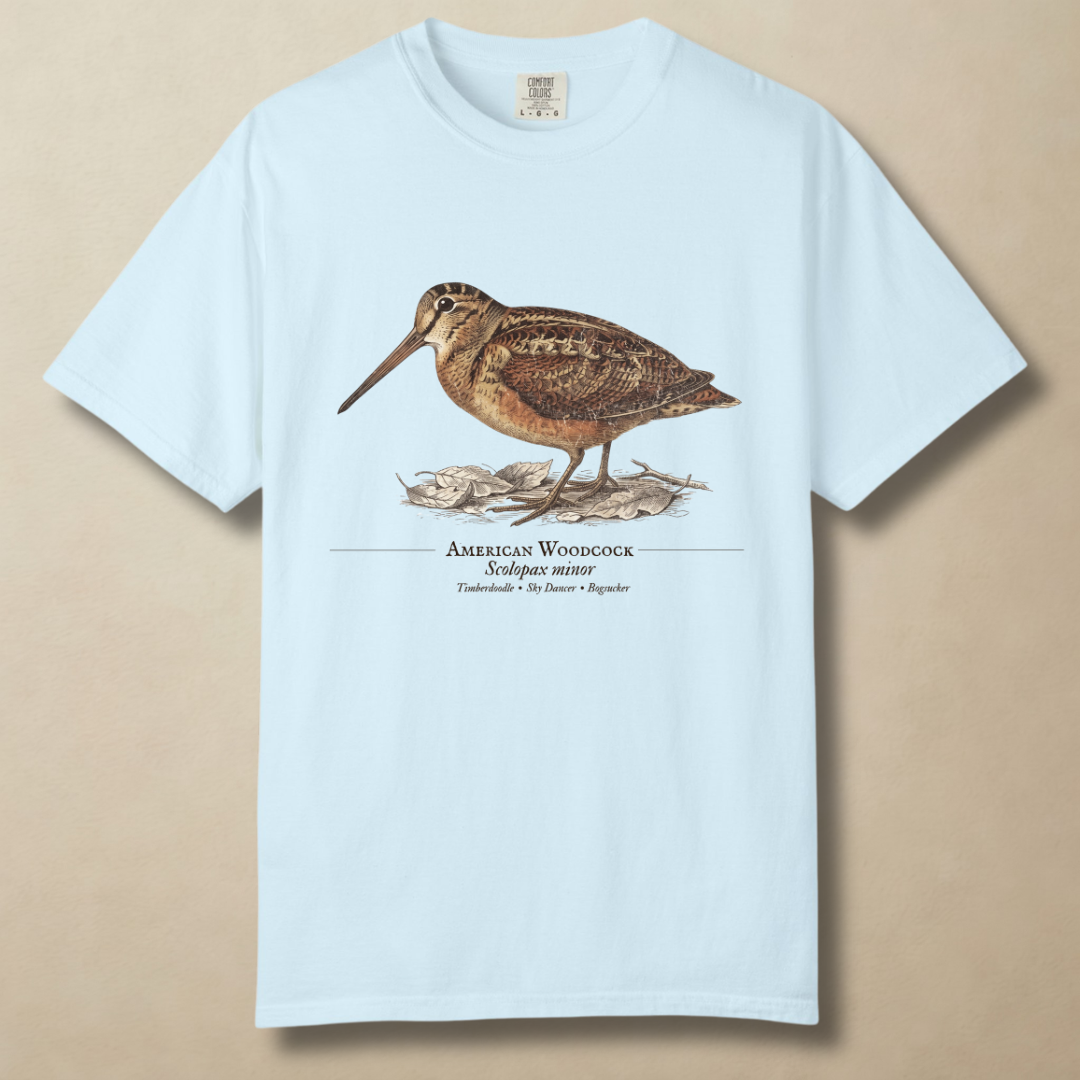 American Woodcock - The Timberdoodle T-Shirt
