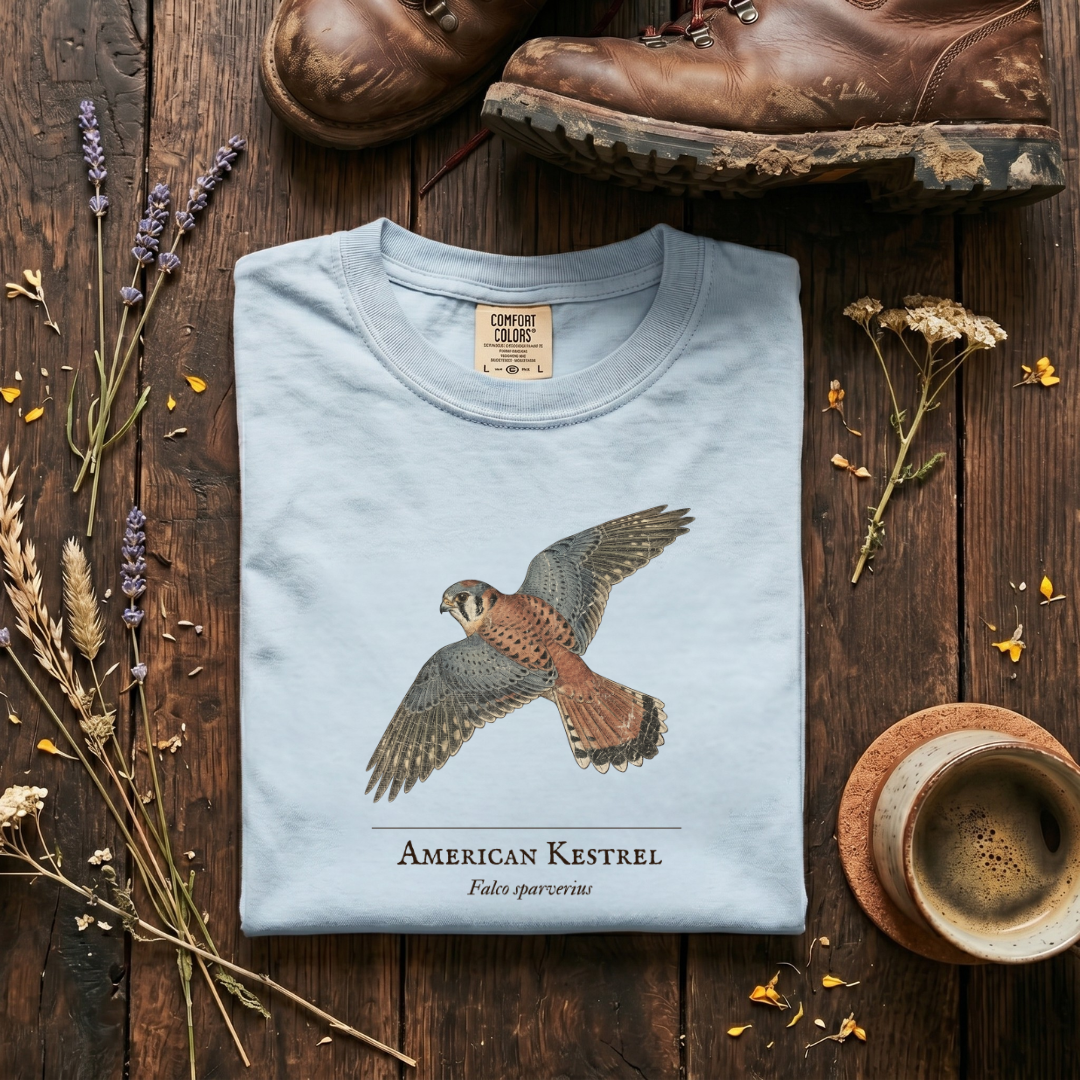 American Kestrel - The Hovering Jewel T-Shirt