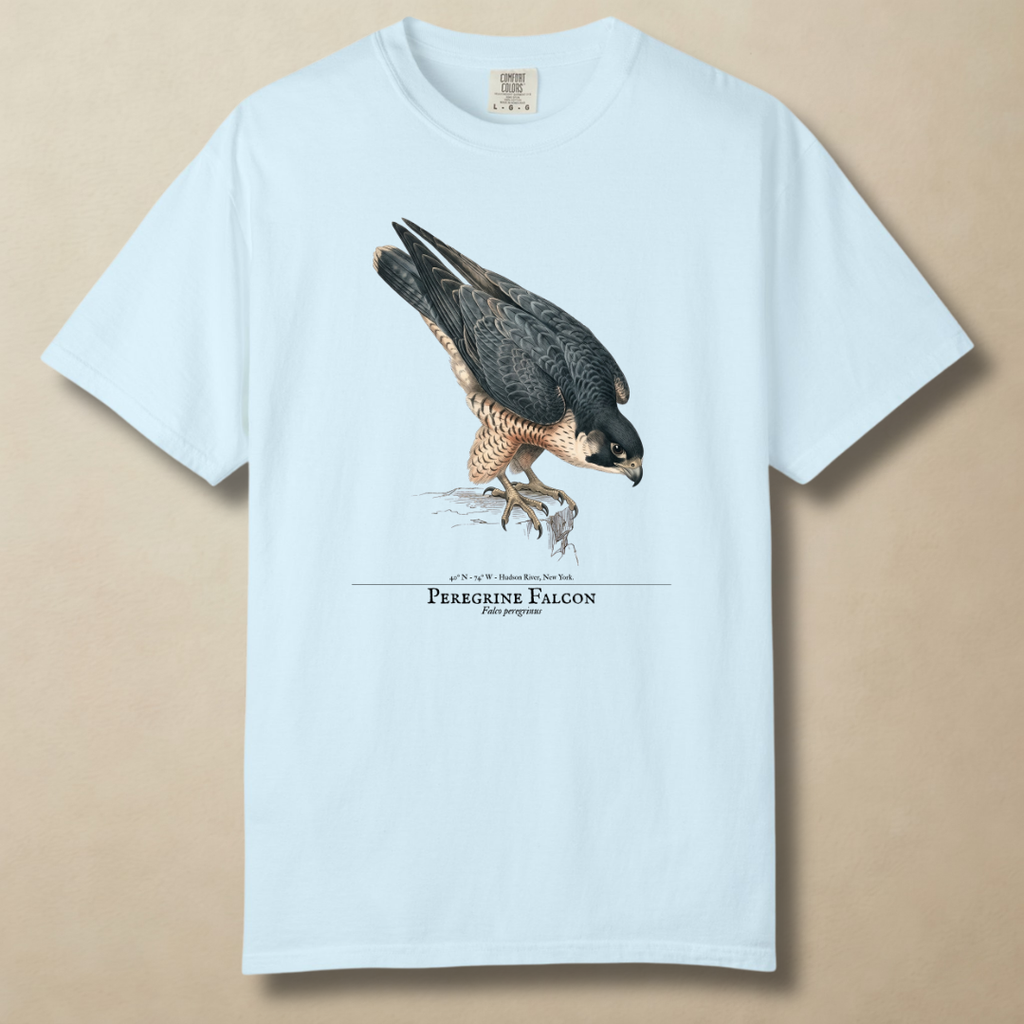 Peregrine Falcon - 240 MPH and Counting T-Shirt
