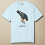 Peregrine Falcon - 240 MPH and Counting T-Shirt