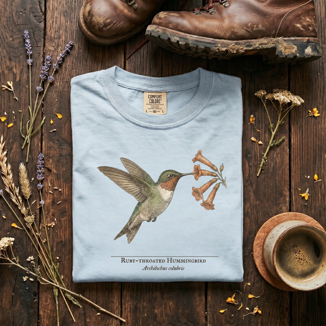 Ruby-throated Hummingbird T-Shirt