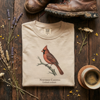 Northern Cardinal - The Backyard Sentinel T-Shirt
