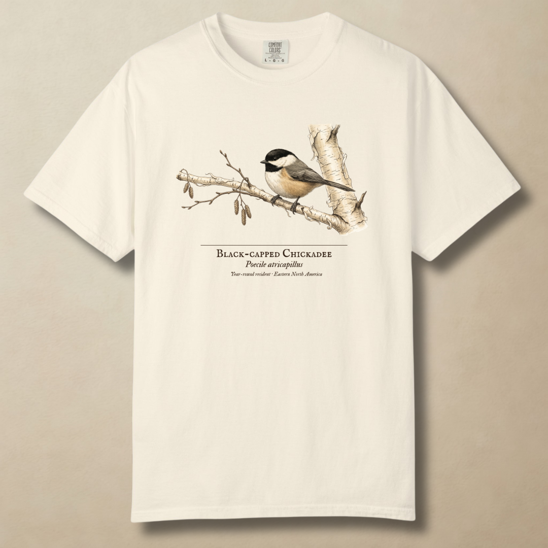 Black-capped Chickadee - Small Bird, Big Winter T-Shirt