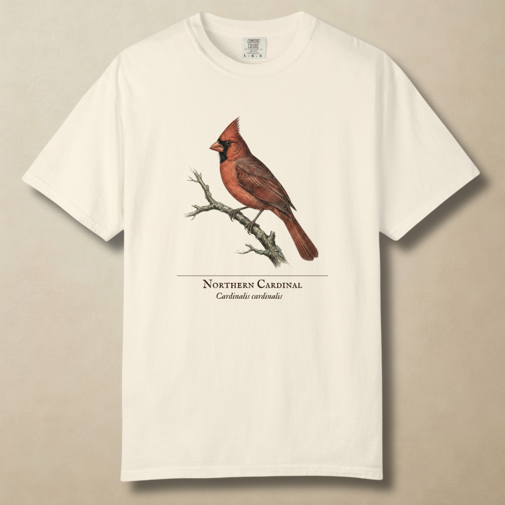 Northern Cardinal - The Backyard Sentinel T-Shirt