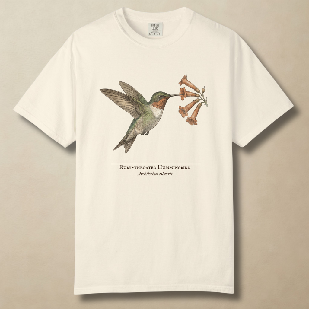 Ruby-throated Hummingbird T-Shirt