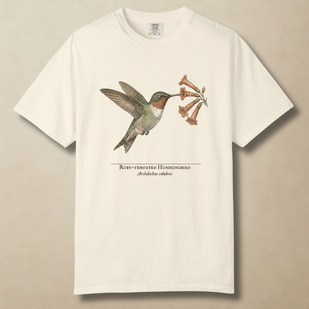 Ruby-throated Hummingbird T-Shirt