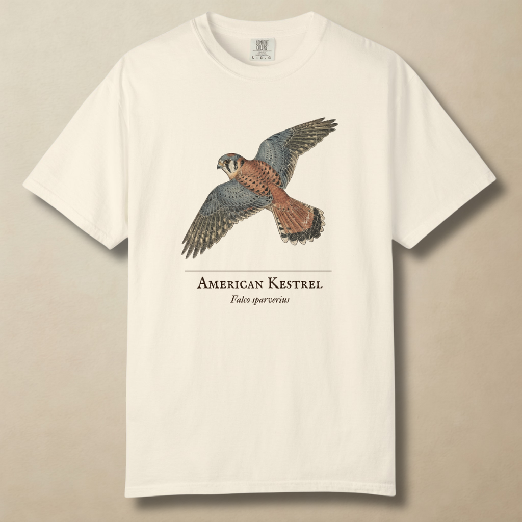 American Kestrel - The Hovering Jewel T-Shirt