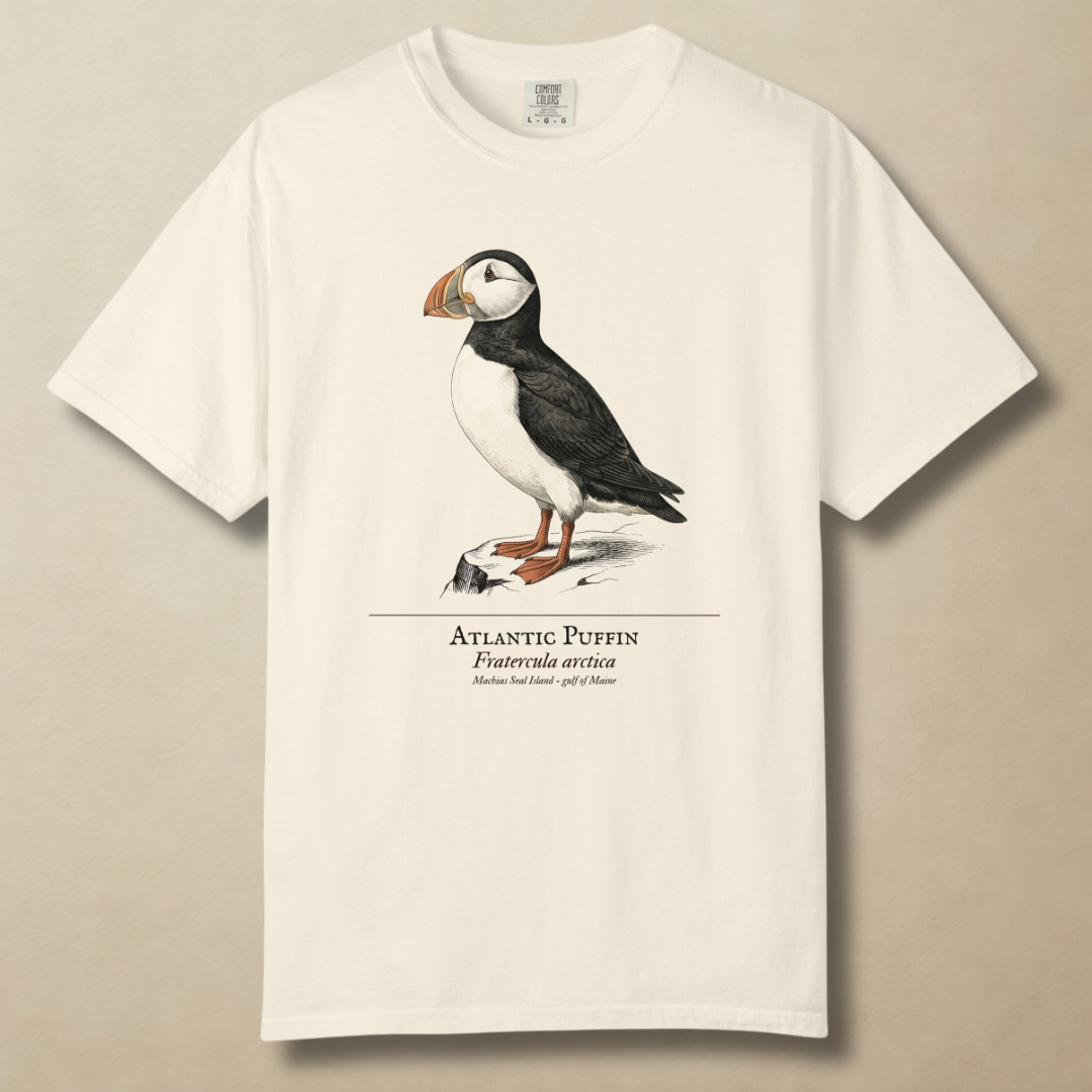 Atlantic Puffin - Clown of the North Atlantic T-Shirt