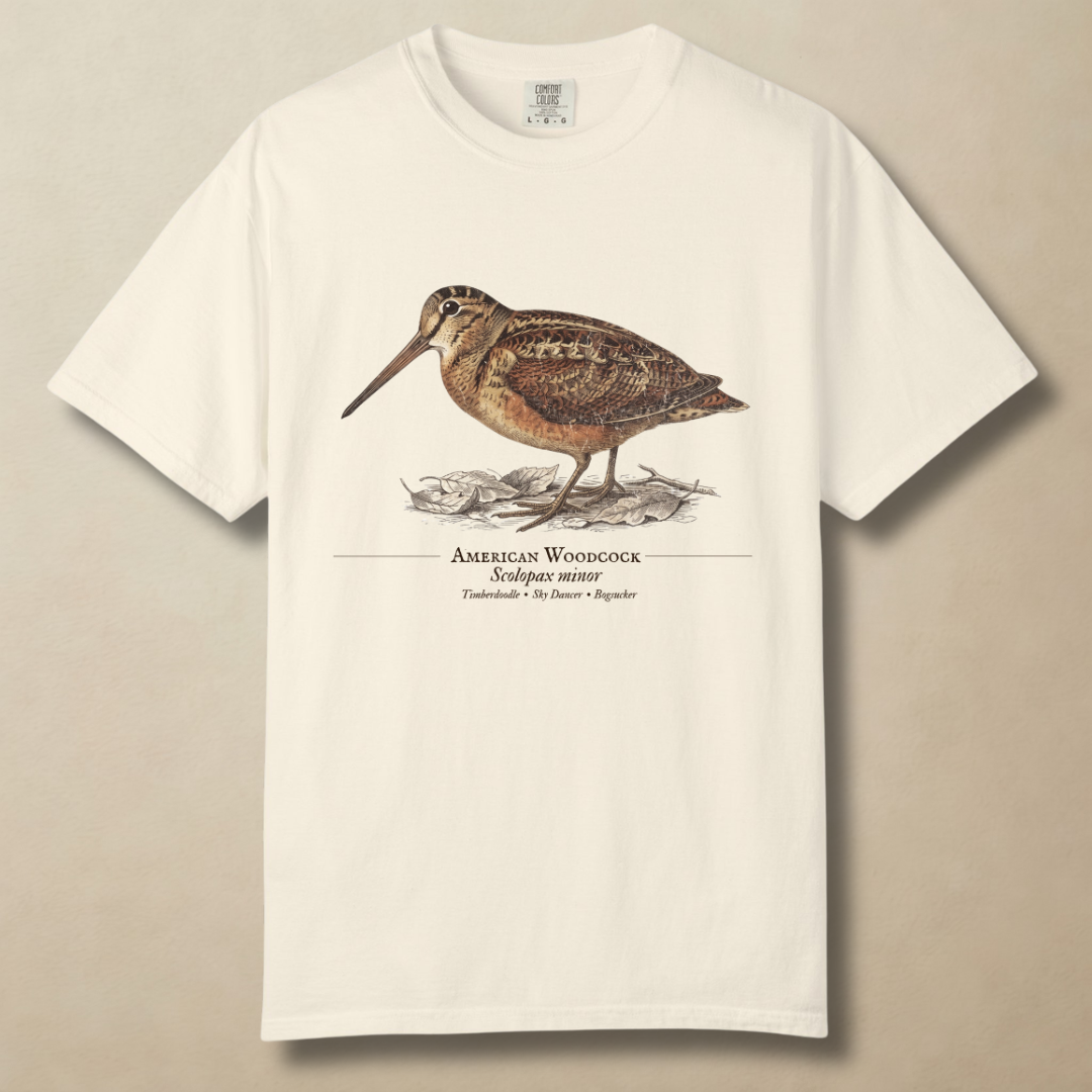 American Woodcock - The Timberdoodle T-Shirt