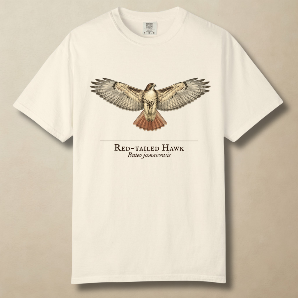 Red-tailed Hawk - Ruler of the Open Sky T-Shirt