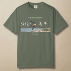Cape May Migration T-Shirt