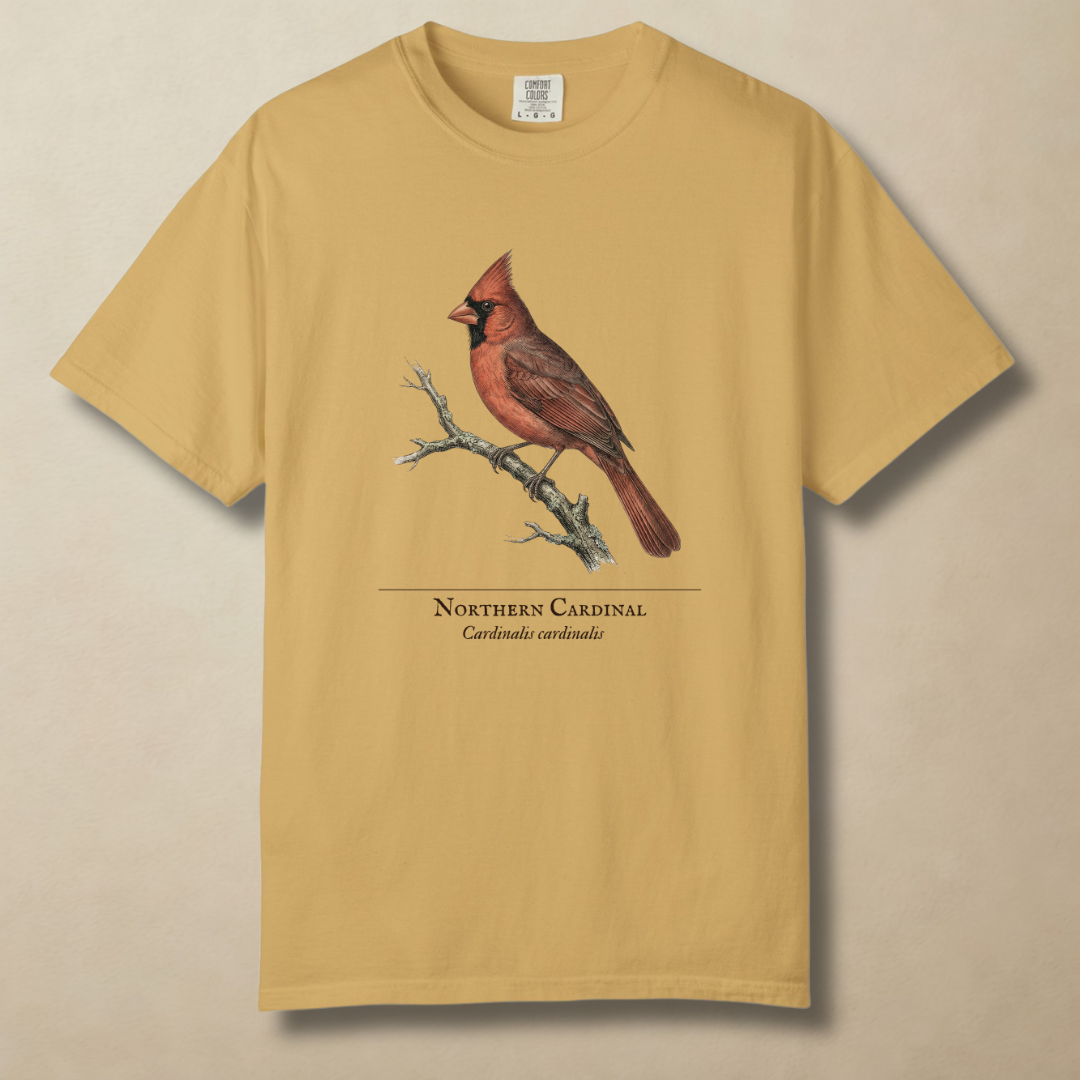 Northern Cardinal - The Backyard Sentinel T-Shirt