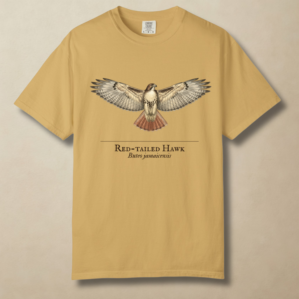 Red-tailed Hawk - Ruler of the Open Sky T-Shirt