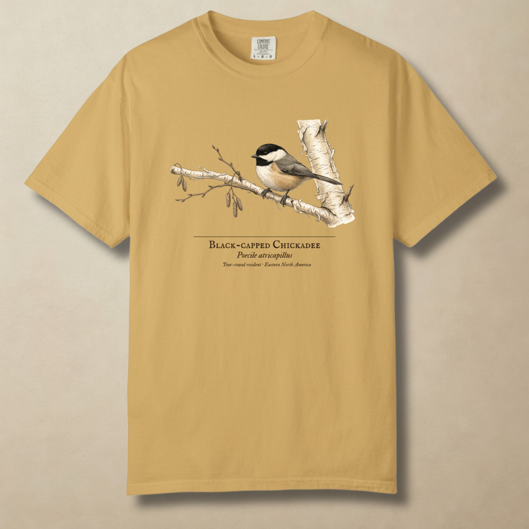 Black-capped Chickadee - Small Bird, Big Winter T-Shirt