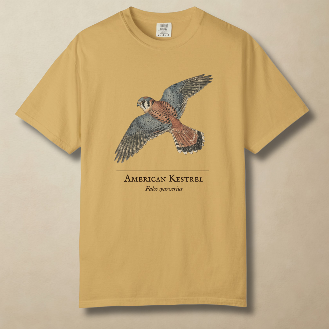 American Kestrel - The Hovering Jewel T-Shirt