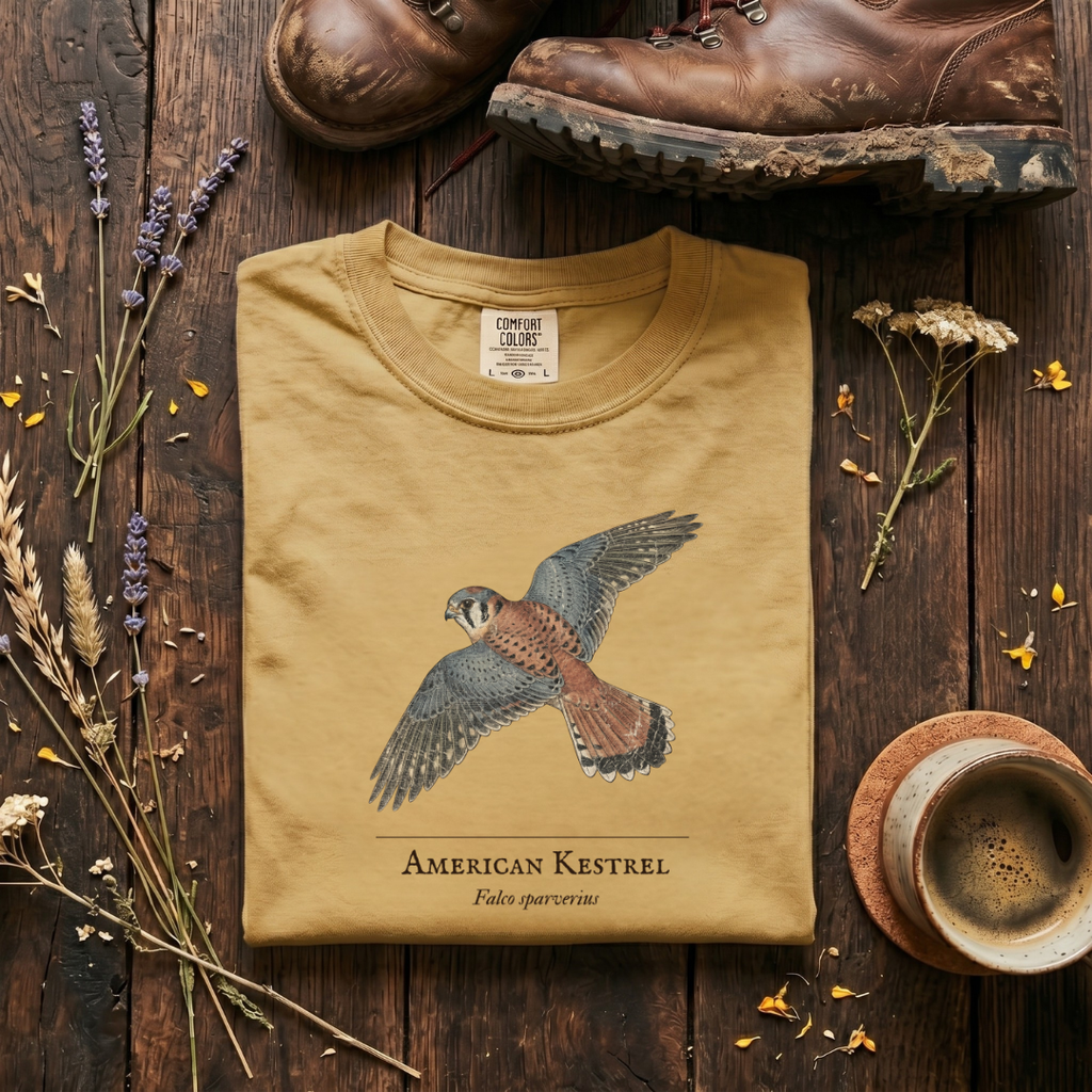 American Kestrel - The Hovering Jewel T-Shirt