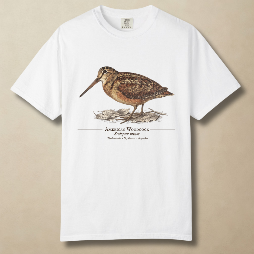 American Woodcock - The Timberdoodle T-Shirt