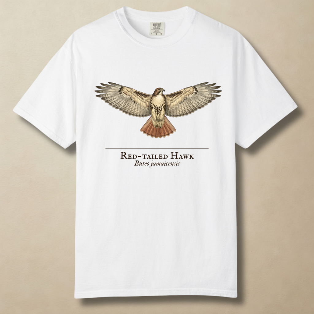 Red-tailed Hawk - Ruler of the Open Sky T-Shirt